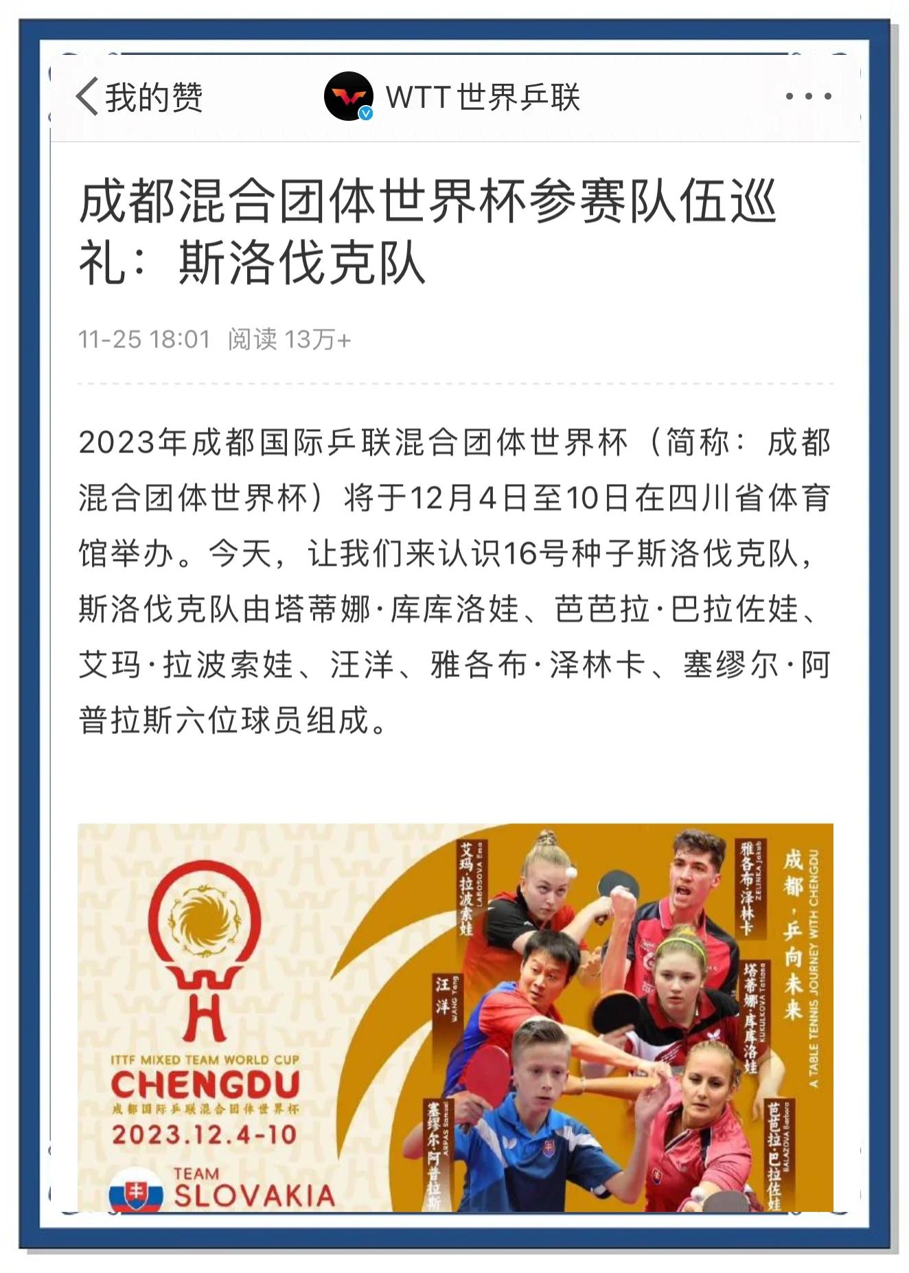 斯洛伐克排球队战胜对手，晋级半决赛