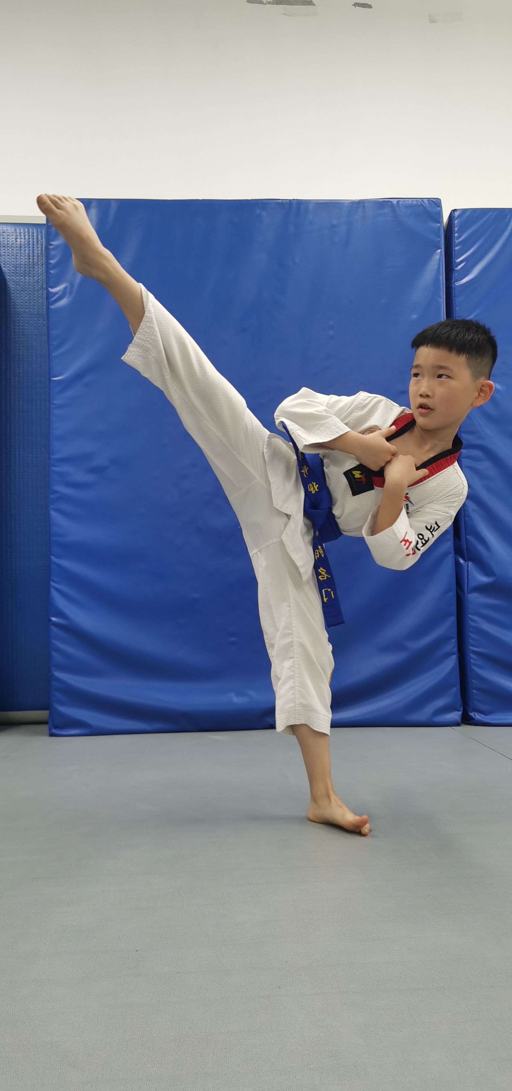 跆拳道比赛：力量与技术完美融合