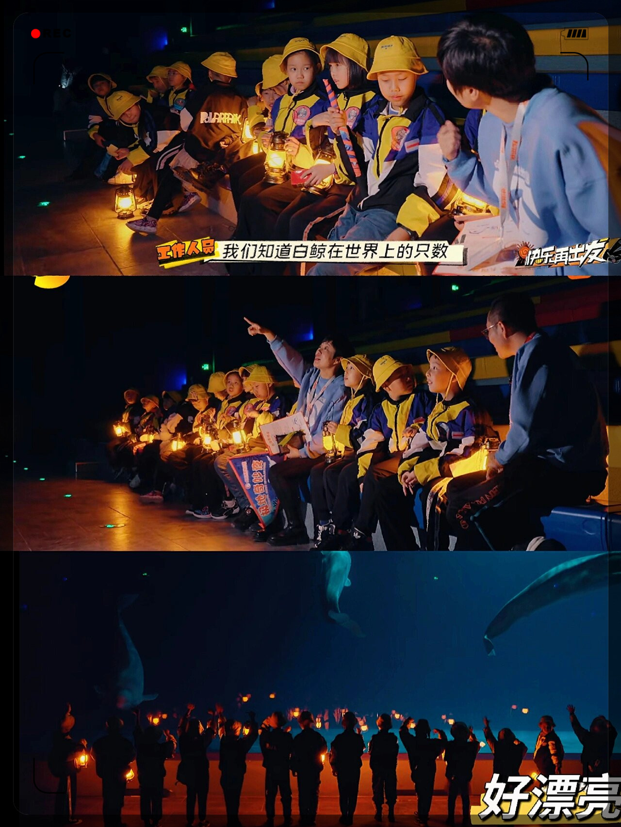 球队老板与演艺明星互动交流合作计划