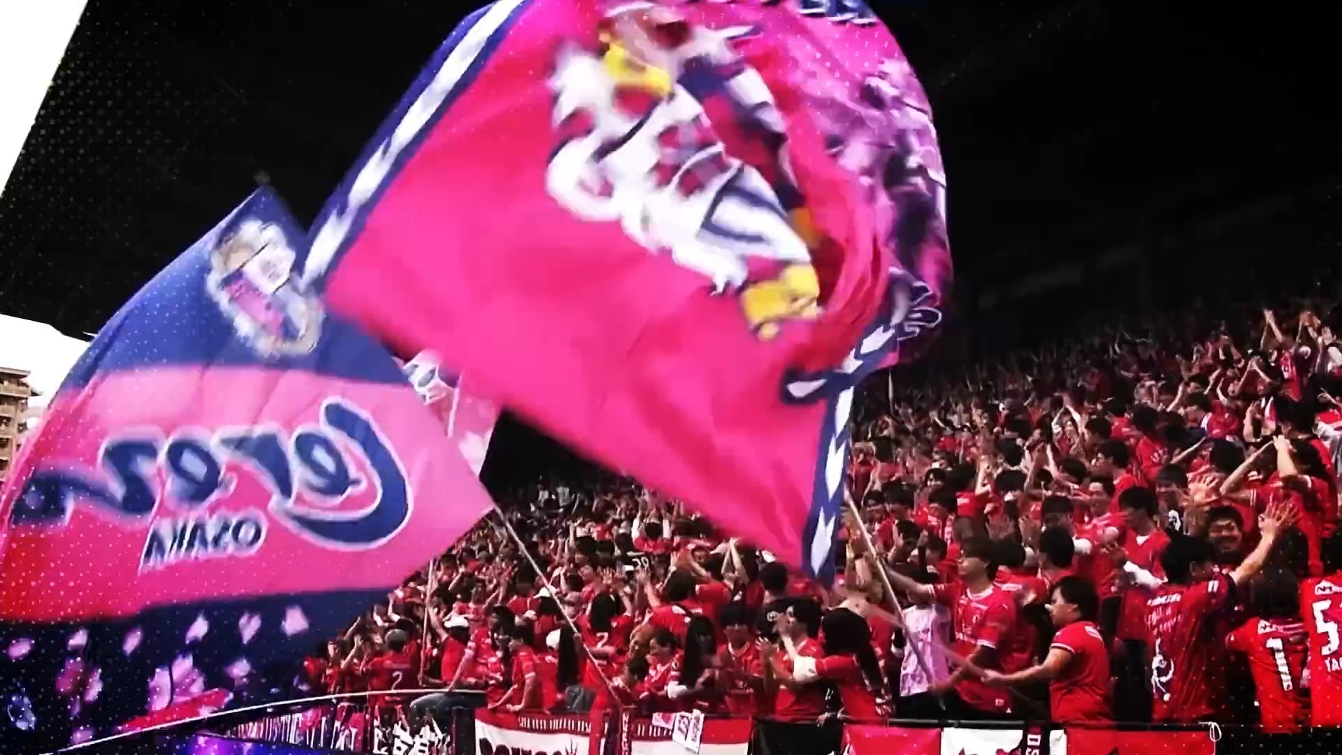 大阪樱花备战重要比赛，迎来挑战