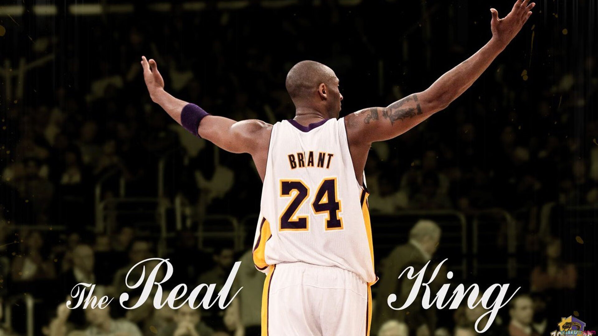 法网是历史,戴维斯杯是心跳,阿尔卡拉斯的火焰为何在团队硝烟中燃烧得更烈?